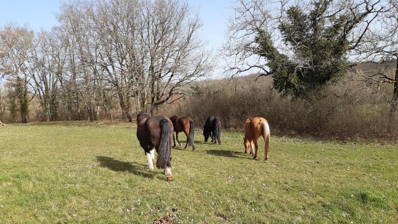 Ferme Brasseyrou - B&B Classique Devillac Exteriér fotografie